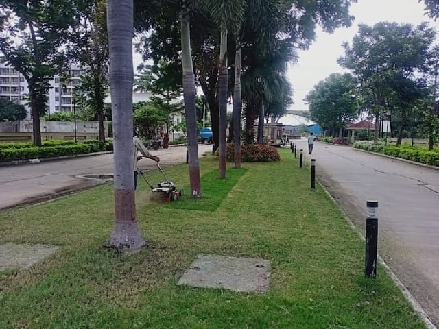 NARIMAN BOYS PG
