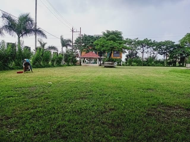 NARIMAN BOYS PG