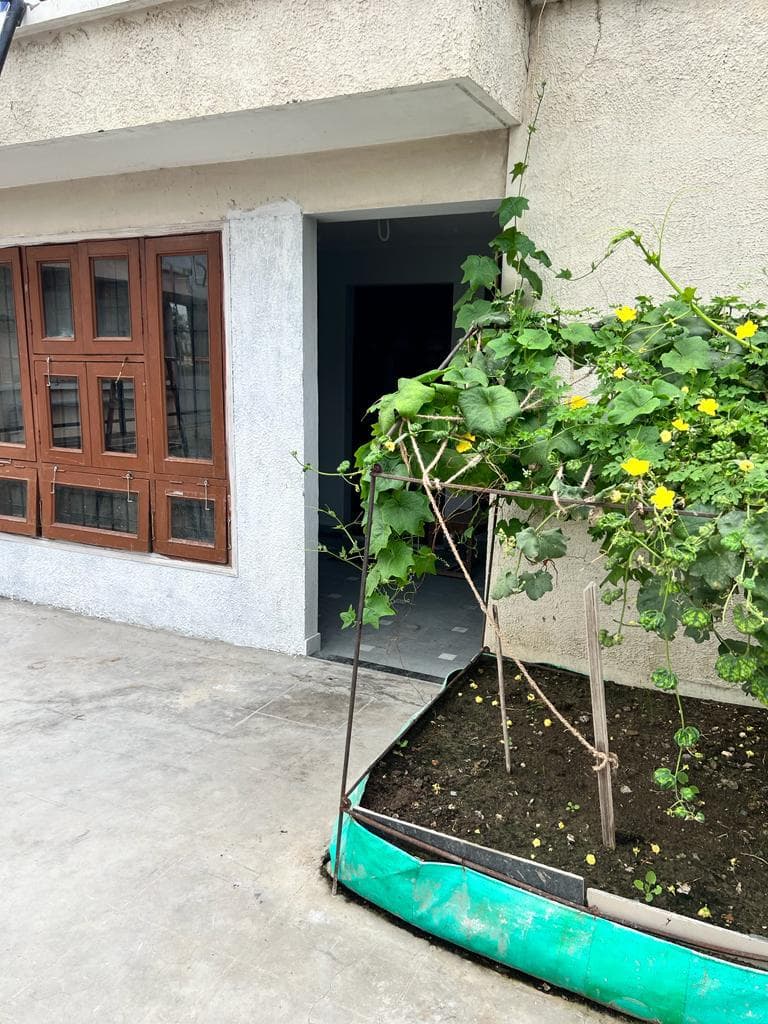 garden view paying guest and hostel boys