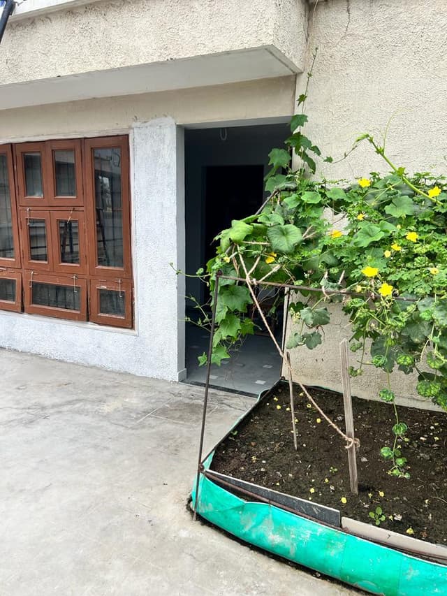 garden view paying guest and hostel boys