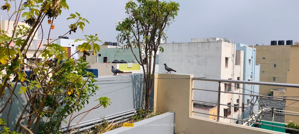Ganesh Deluxe Boys Hostel