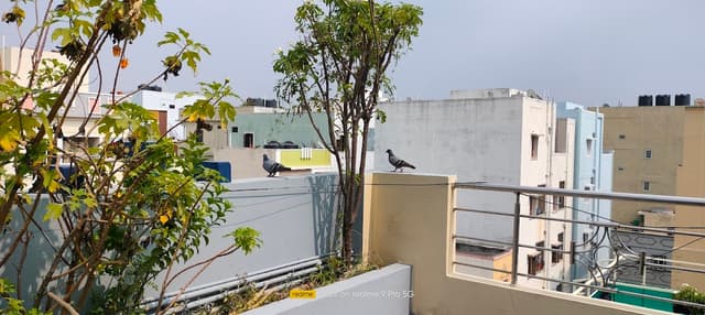 Ganesh Deluxe Boys Hostel