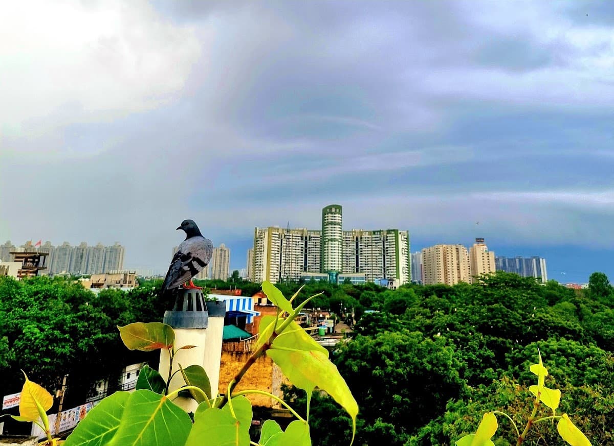 SHIVSHAKTI PG& HOSTEL