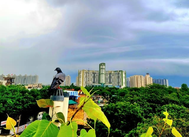 SHIVSHAKTI PG& HOSTEL