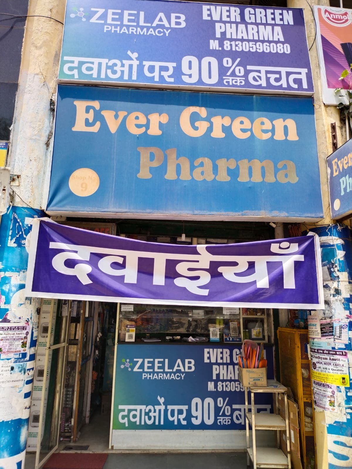 EVER GREEN
