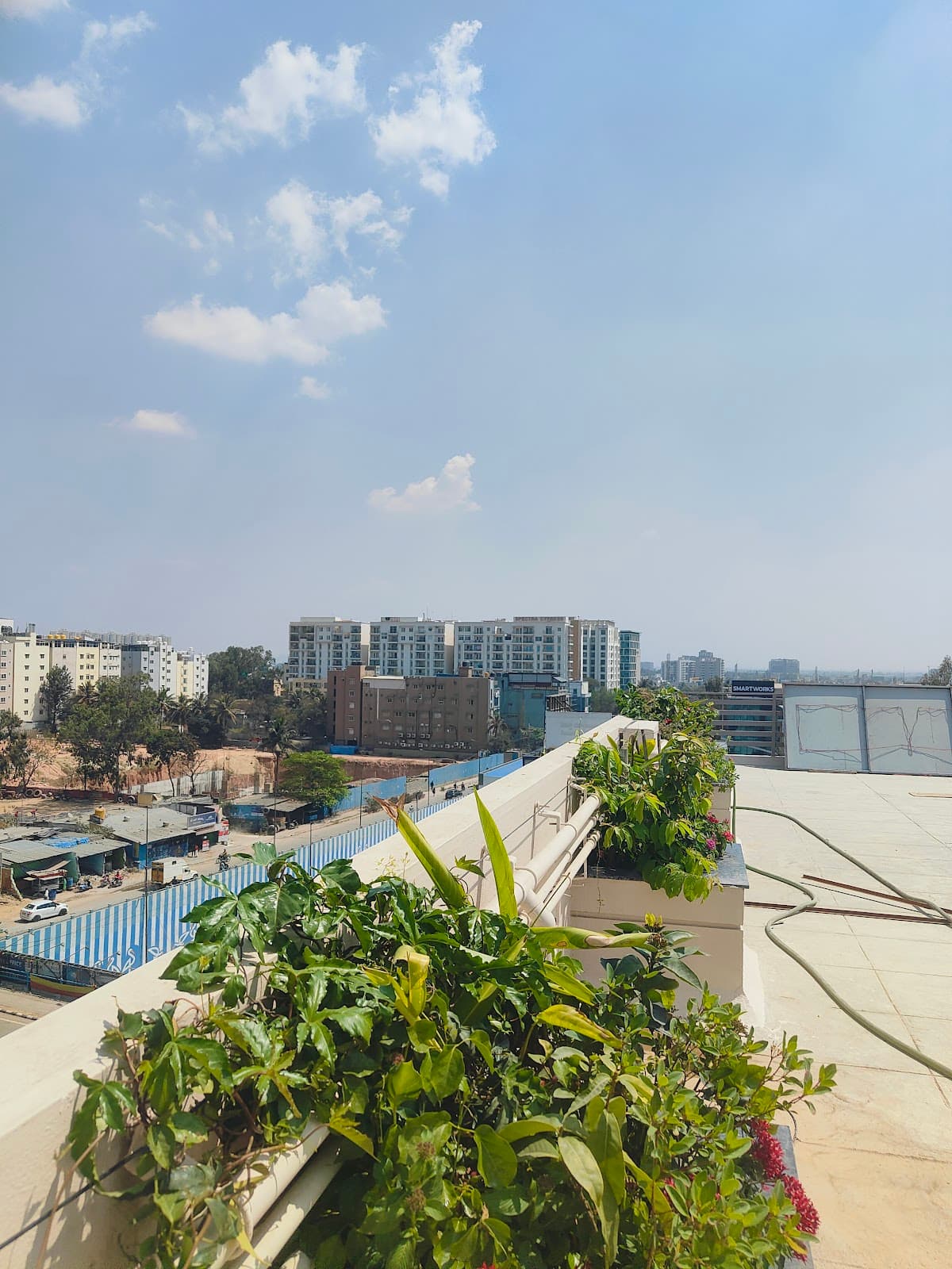 Social Co-Living PG