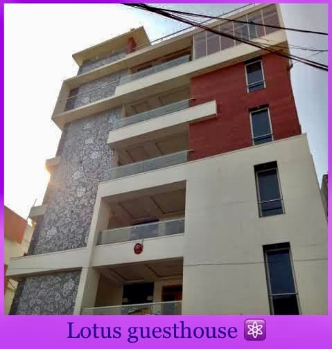 Lotus hostel & guest house