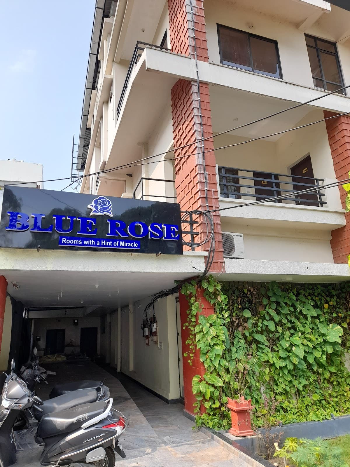Blue rose rooms, boys hostel