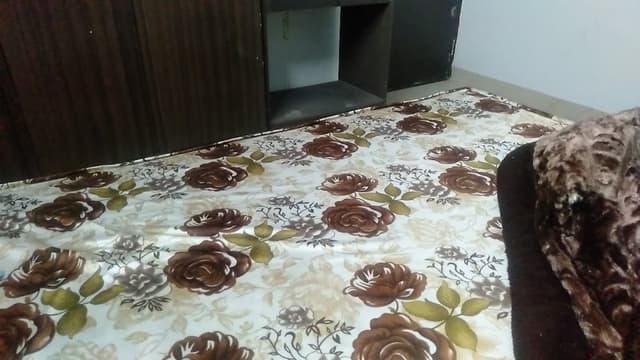 Comfort pg