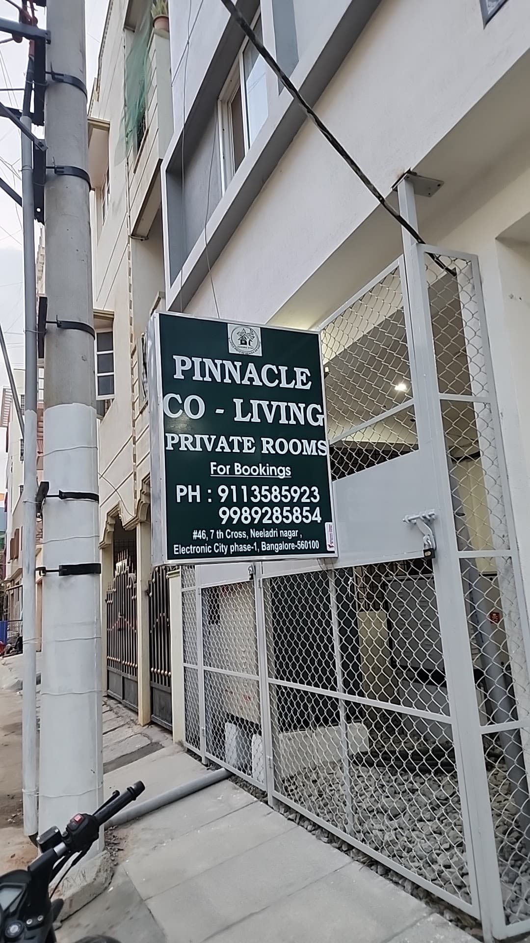 Pinnacle Colive PG
