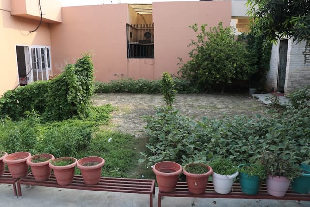 Akash homestay pg