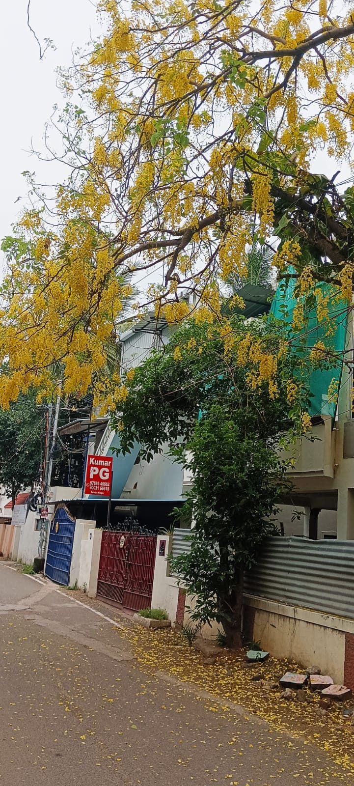 Kumar PG