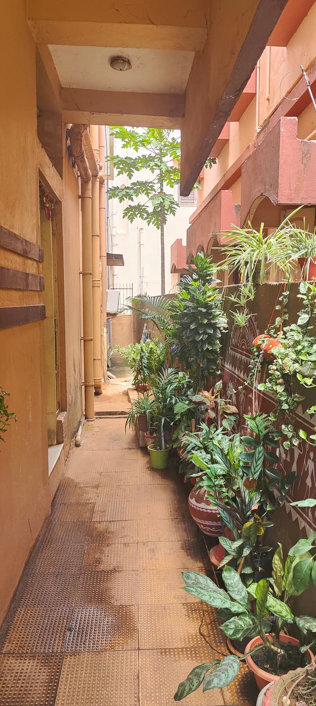 Bachelor's Haven Boys Hostel