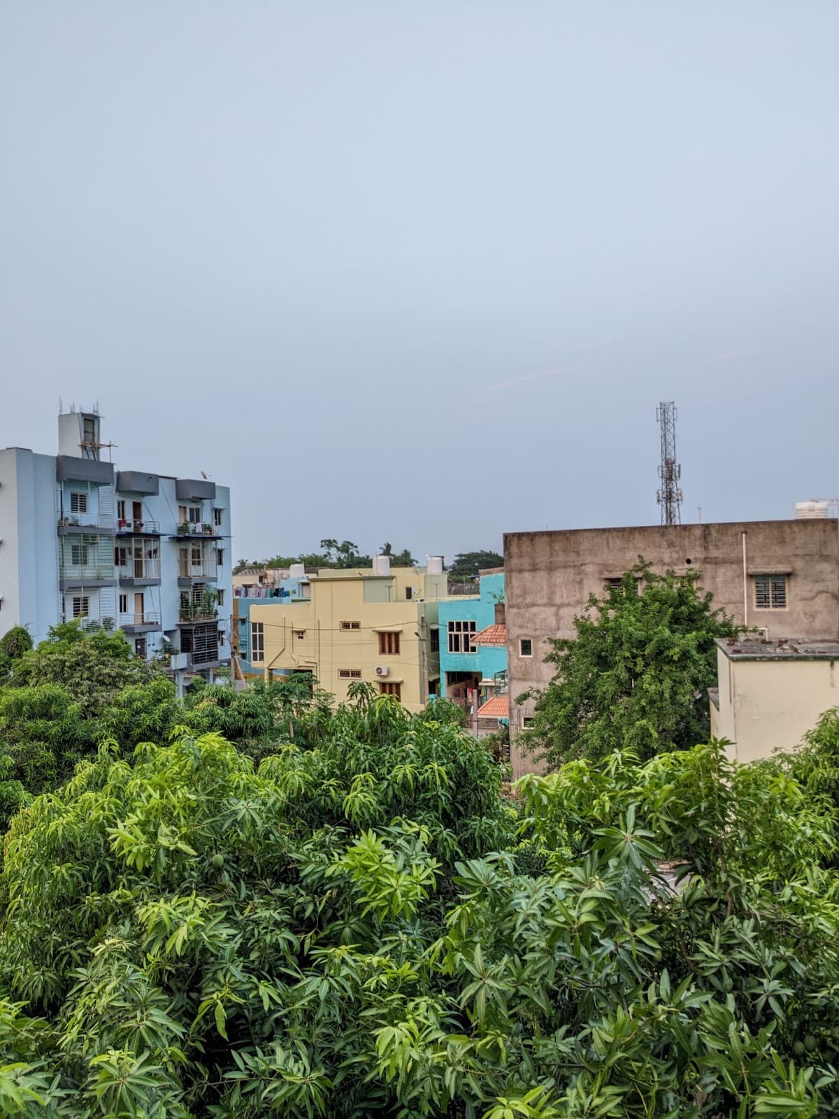Somil Hostel