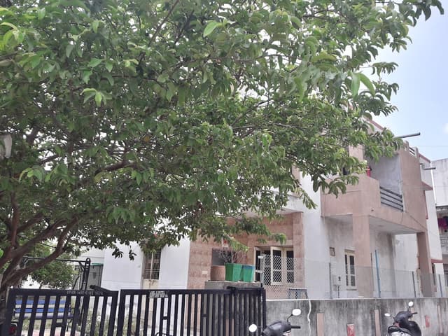 PG For Students