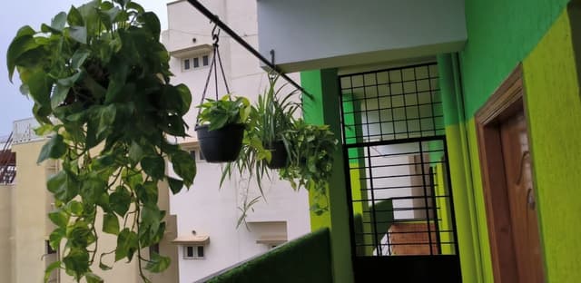 Kushi Green Stay