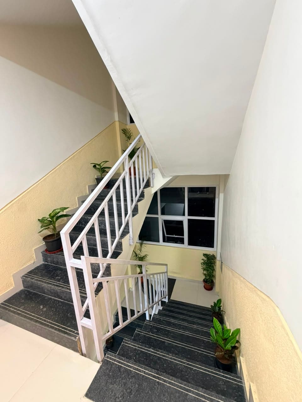 Pg in viman Nagar