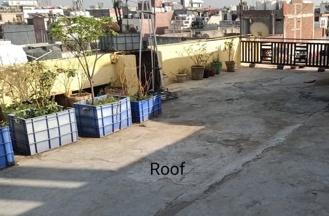 Pg for girls in Delhi