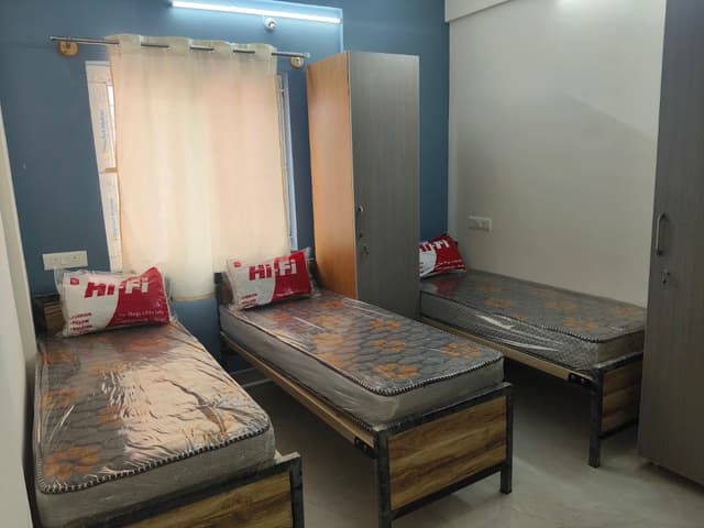 Shree Durga New Luxury Ladies Pg
