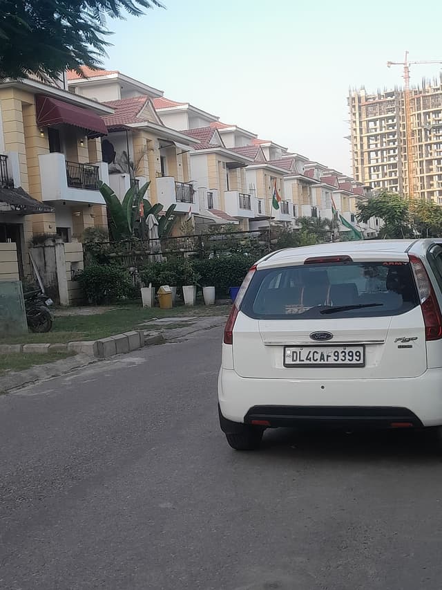 JS palace