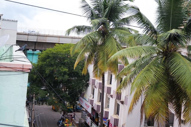 Narayani PG