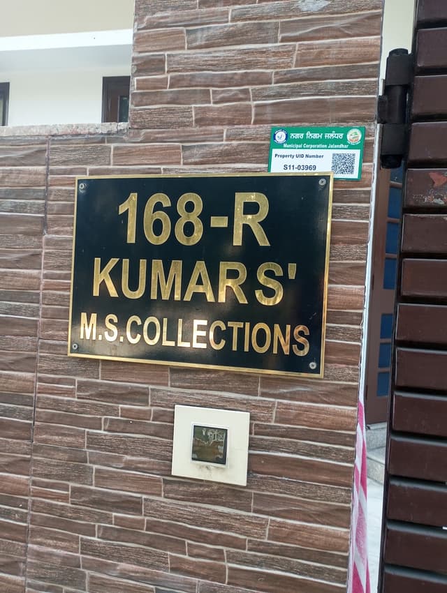 M S collection pg