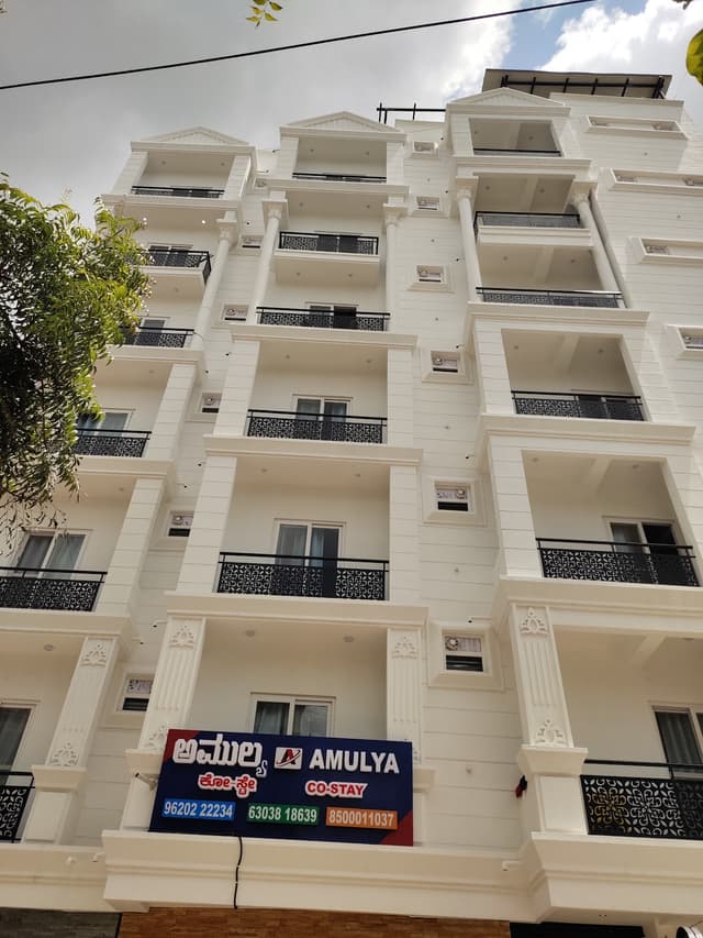 Amulya Colive PG