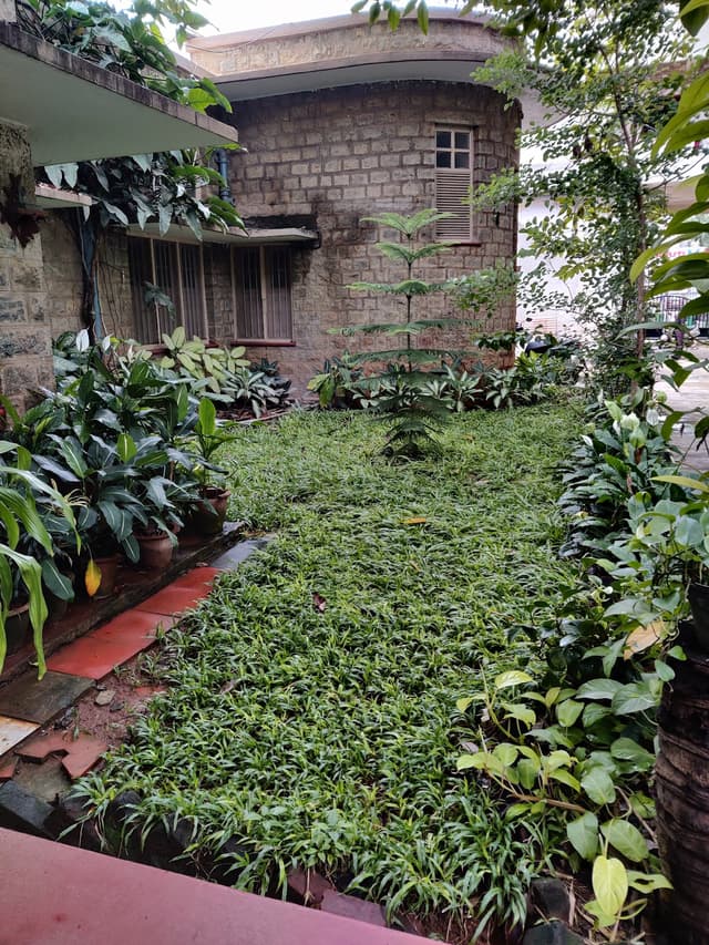 Rajesh Paying Guest Accommodation (Ladies PG)