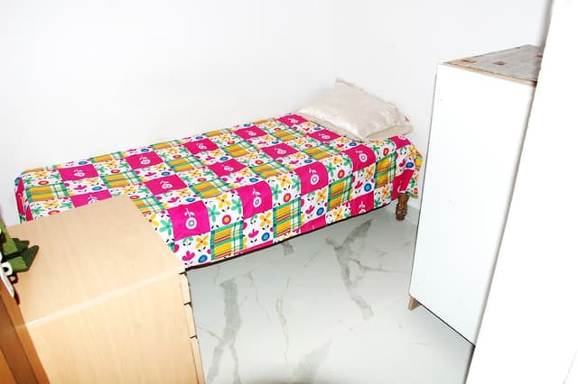 Sri Venkateshwara ladies luxury pg