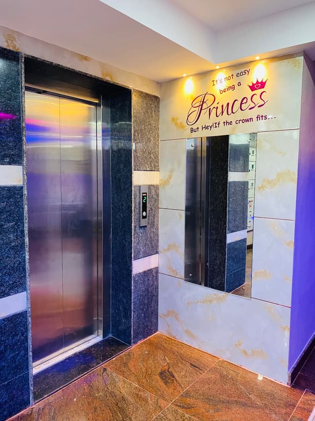 The princess Luxury pg for ladies