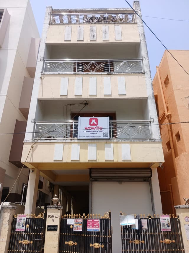 Wowlife Coliving - HerNest