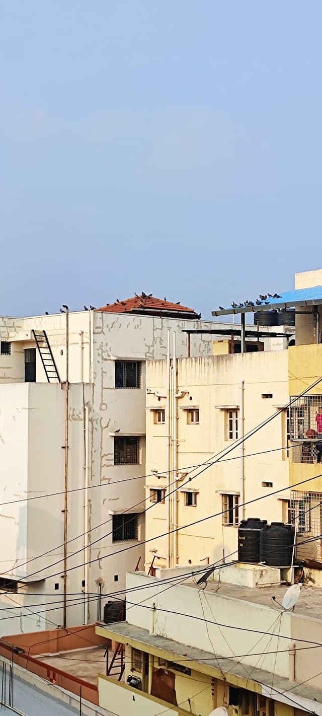 Yashas Pg Accomadation