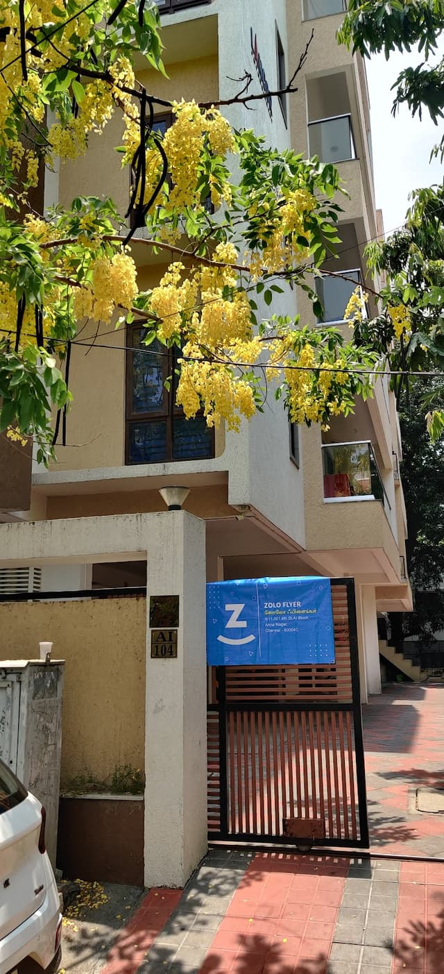 Zolo Flyer - PG in Anna Nagar | Gents PG